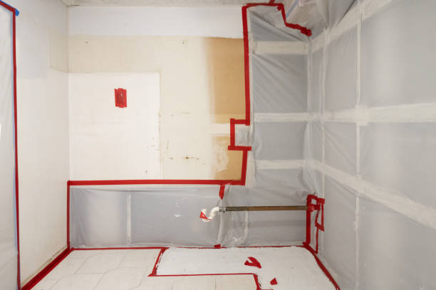 Best Residential Mold Inspection & Testing  in Grand Rapids, MI