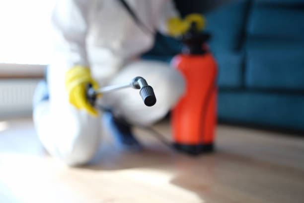 Trusted Grand Rapids, MI Mold Inspection, Removal & Remediation Experts