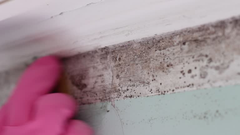 Best Air Quality Testing for Mold Spores  in Grand Rapids, MI